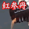 ����l�Q�@�g�Q�O�@�������񂽂�